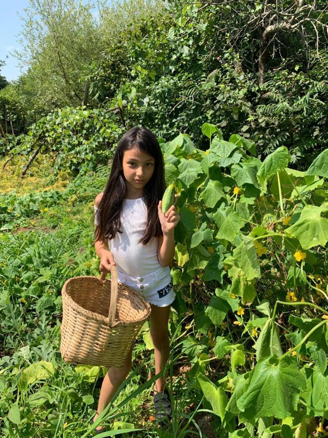 Tskaltubo Village - Nature Resort ภายนอก รูปภาพ